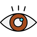 Eye