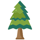 Pine tree