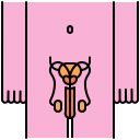 Reproductive system