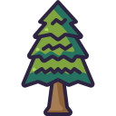 Pine tree