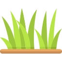 gras