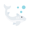 Shark