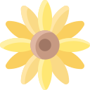 sonnenblume