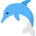 Dolphin