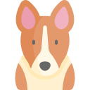 basenji