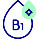 b1