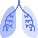 Lungs