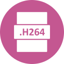 h264