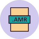 amr