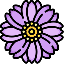 Mexican aster