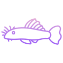 魚