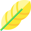 Tropical leaves