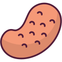 Potato