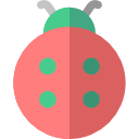 coccinelle