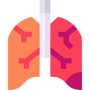 Lungs