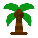 Coconut tree