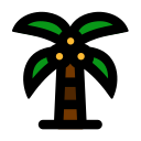 Coconut tree