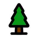 Fir