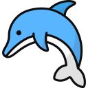 Dolphin