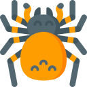 tarantula