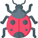 Ladybug