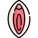 vulva