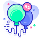 N2