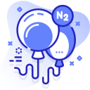 N2