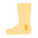 Foot