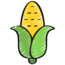 Corn