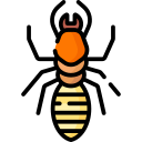 termite