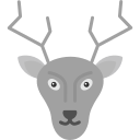 cerf