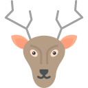 cerf