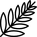 Palm Leaf