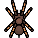 Tarantula