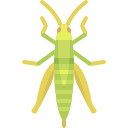 Grasshopper