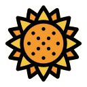 girasole