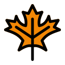 Maple leaf