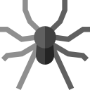 spinne