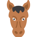 cavallo