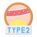 Type 2