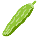 Bitter gourd