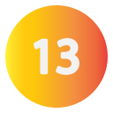 13