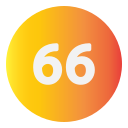 66