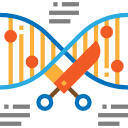 dna