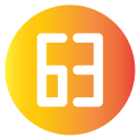 63