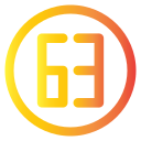 63