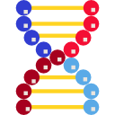 Dna