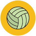 volley-ball