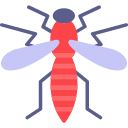 mosquito